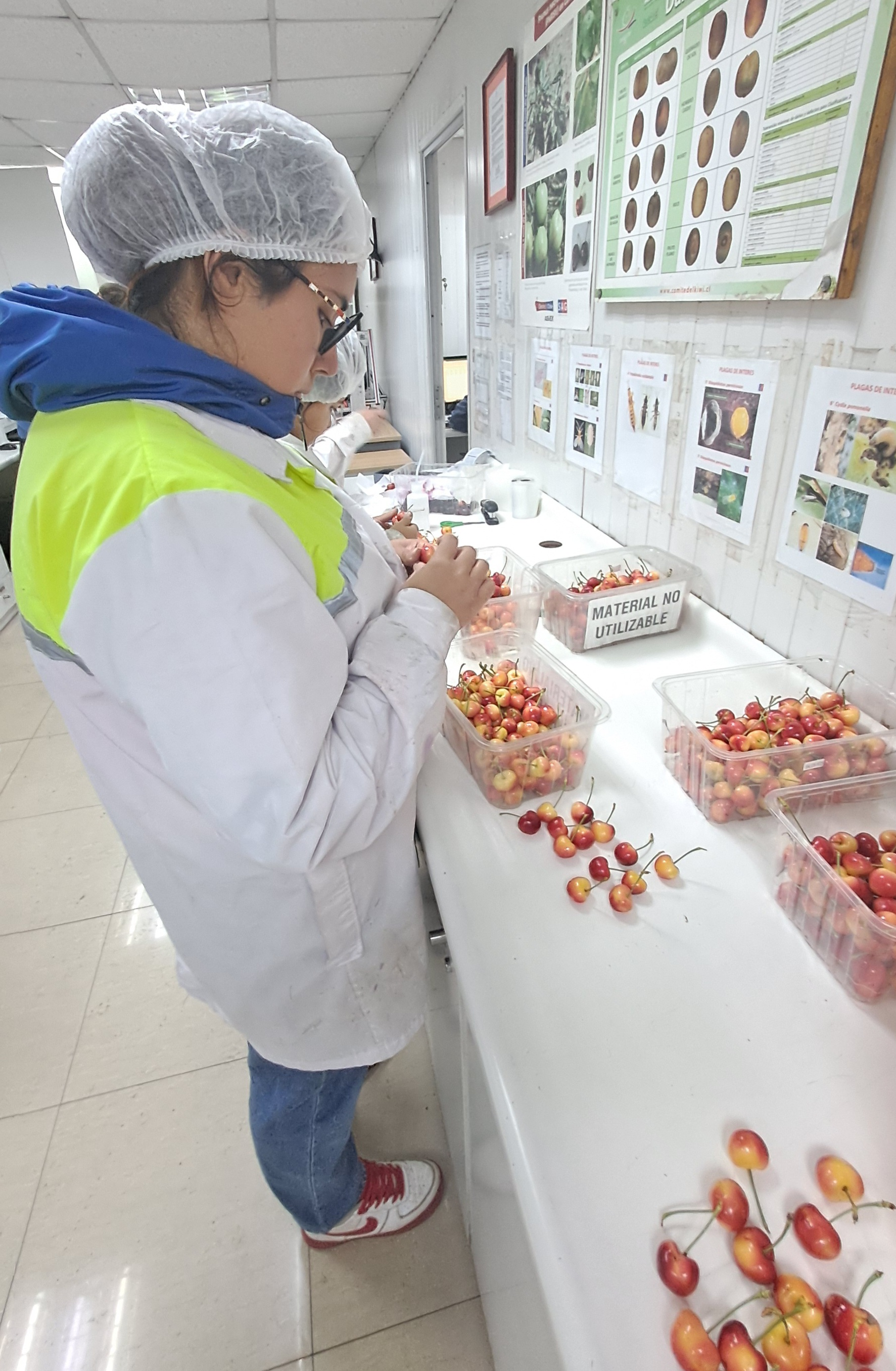 Revisión de Cerezas